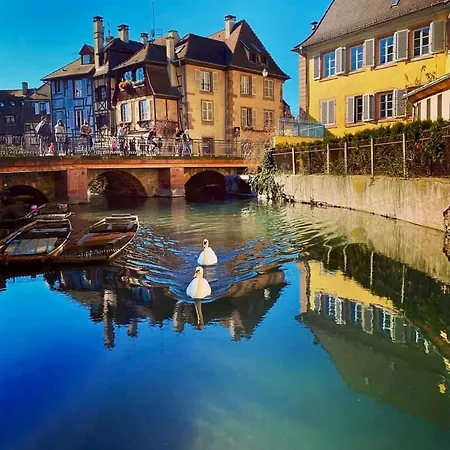 Maison 1708 - Rue Du Canard - Center Apartment Colmar
